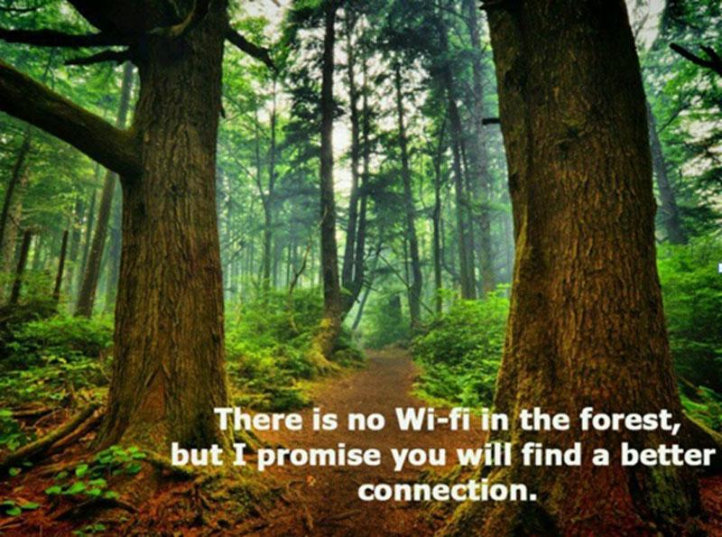 LESSONS ONE CAN LEARN WHILE ON A TRIP INTO THE WOODS LESSONS ONE CAN LEARN WHILE ON A TRIP INTO THE WOODS