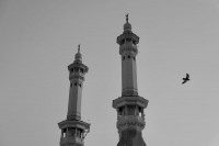 Tragedy in Saudi Arabia: Over 40 Indians feared dead as Umrah bus crashes into tanker Tragedy in Saudi Arabia: Over 40 Indians feared dead as Umrah bus crashes into tanker