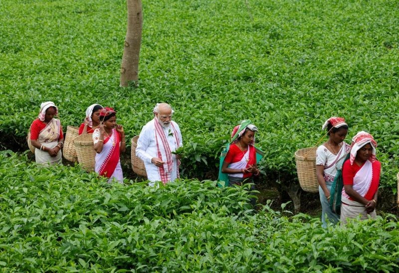 Modis Womens Bill: Slow burner or strategic blunder?