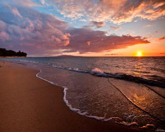 Lorem Ipsum is simply tripura Lorem Ipsum is 'S' simply Lorem Ipsum is simply tripura Lorem Ipsum is 'S' simply