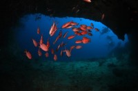 Maldives: Turquoise memories 