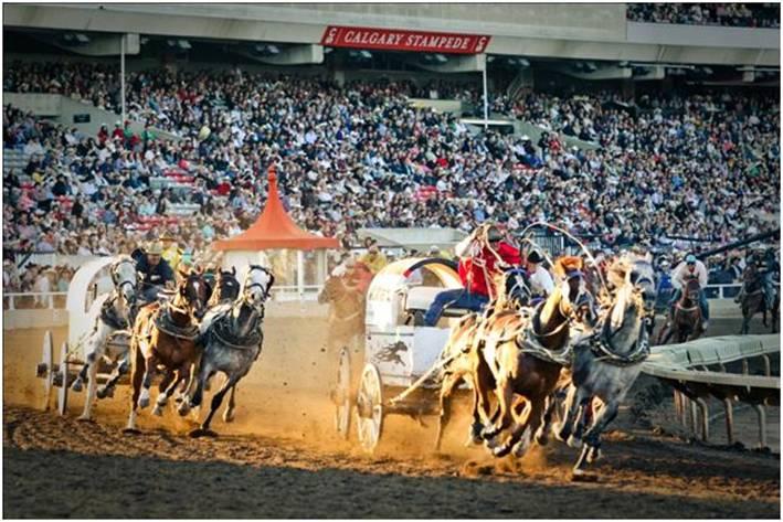 Canada to host greatest outdoor show on Earth- Calgary Stampede in July Canada to host greatest outdoor show on Earth- Calgary Stampede in July