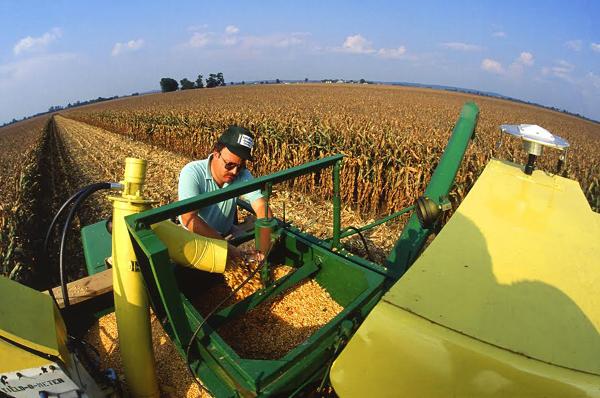The Harvest Shall Come The Harvest Shall Come
