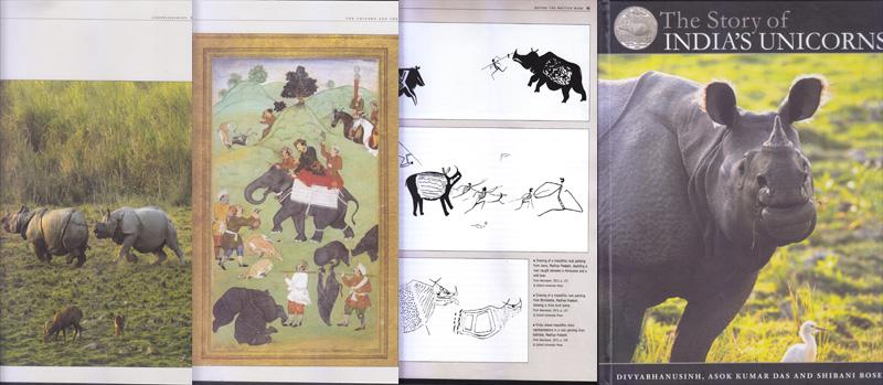 Stitching the story of rhino Stitching the story of rhino