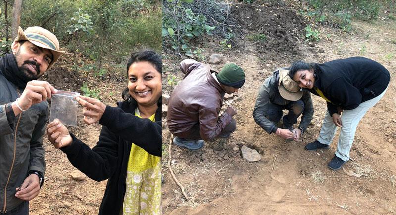 Genetics study helps tiger conservation Genetics study helps tiger conservation