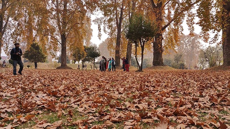 Autumn in Kashmir