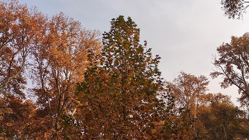 Autumn in Kashmir