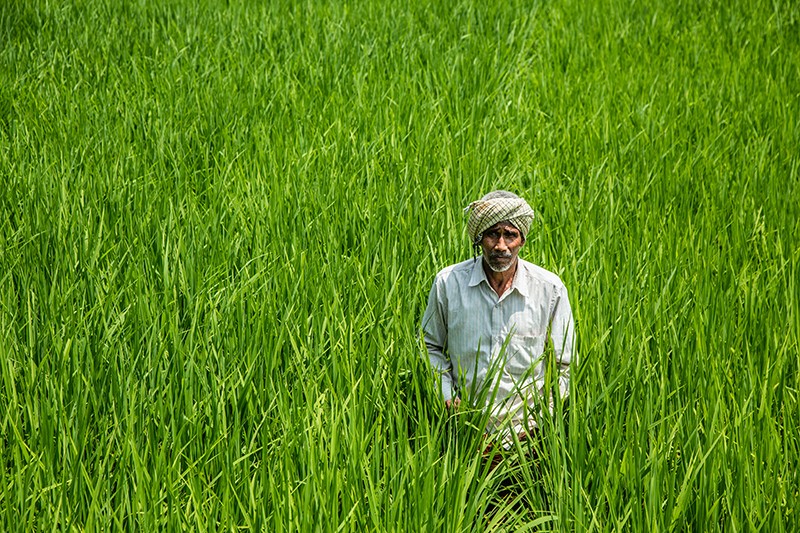 Digitizing land records in India and Pakistan reduces conflict, delays and corruption Digitizing land records in India and Pakistan reduces conflict, delays and corruption