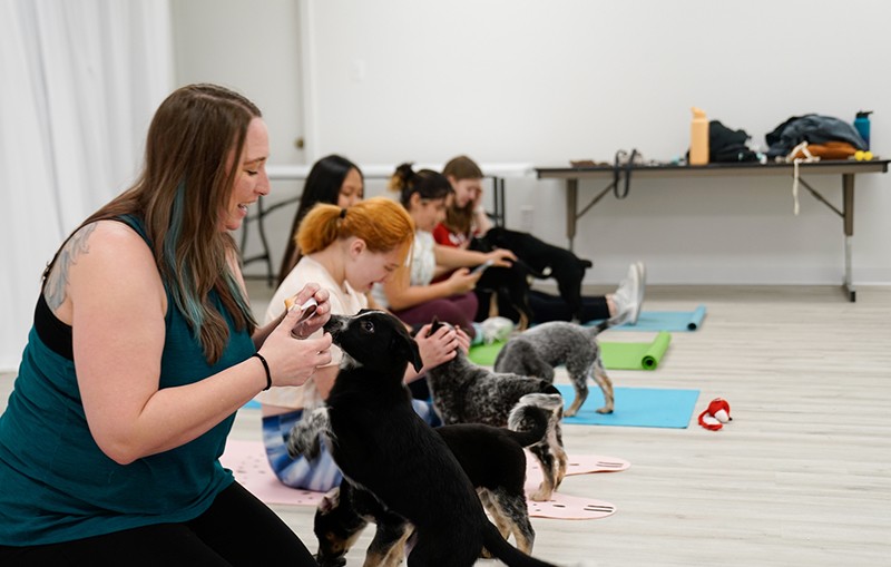 Petcare Industry: Of furry love, pandemic and a rising graph Petcare Industry: Of furry love, pandemic and a rising graph
