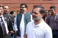 Rahul Gandhis quip on pets in Parliament rekindles dog Row, BJP slams disrespect